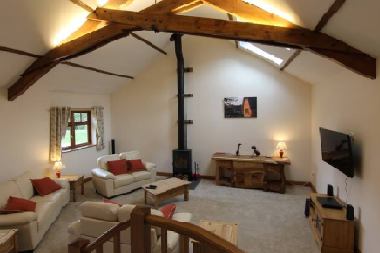 The vaulted lounge with log burner